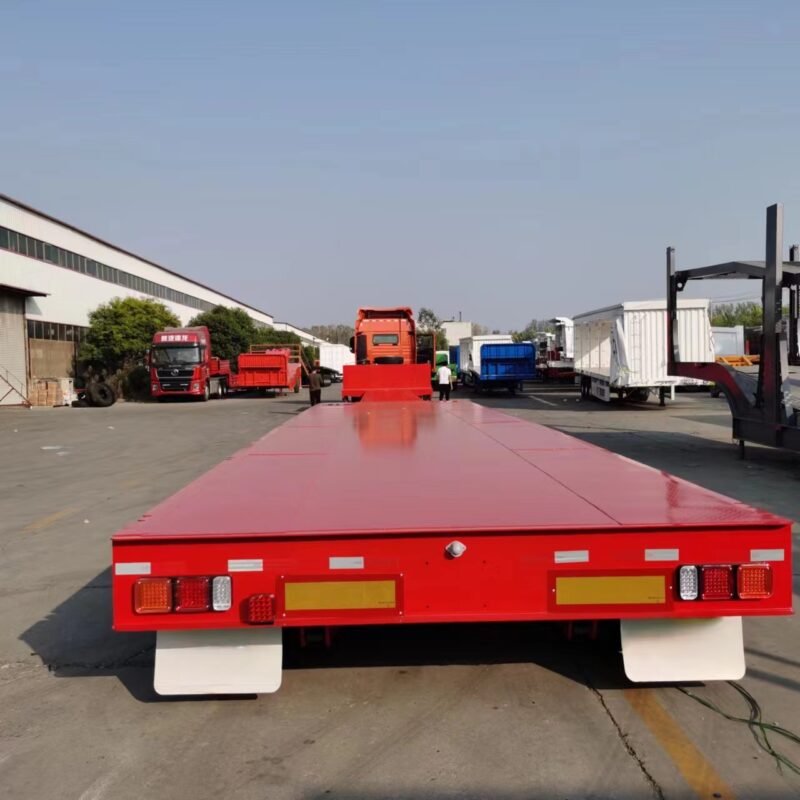 Large special transport semi-trailer - Imagen 9